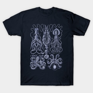 Ernst Haeckel Gamochonia Octopus Violet T-Shirt